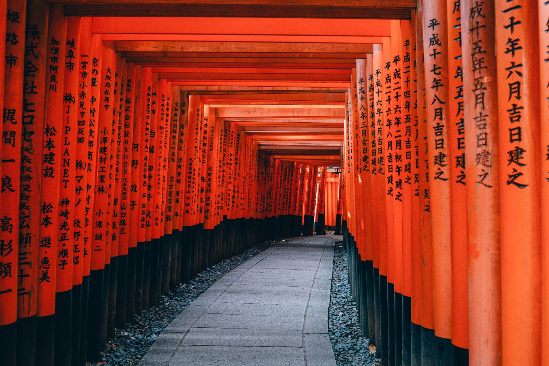 Vermilion torii gates in a long tunnel at Fushimi Inari