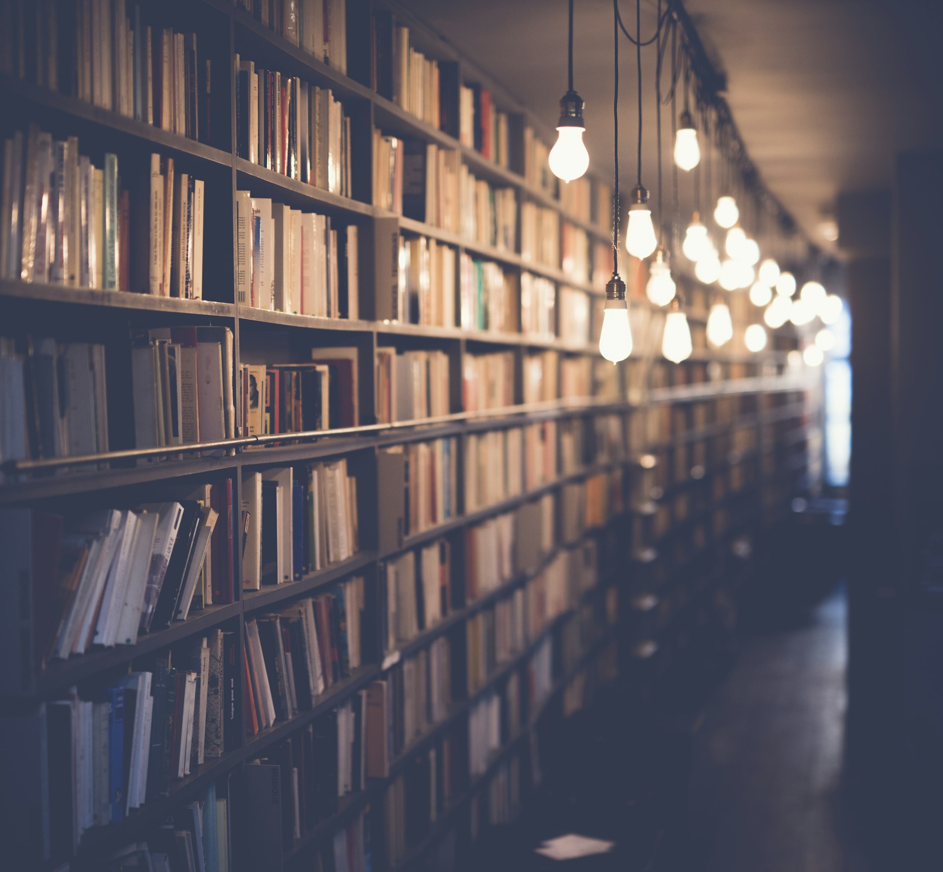A lamp-lit library corridor — where positions are built