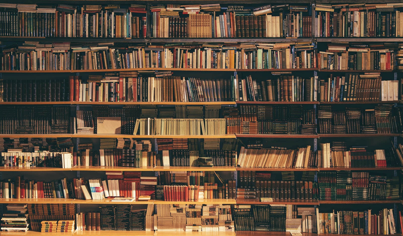 A library wall of books